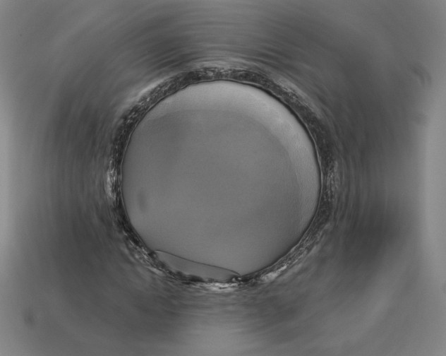 X0000113110822200909181626