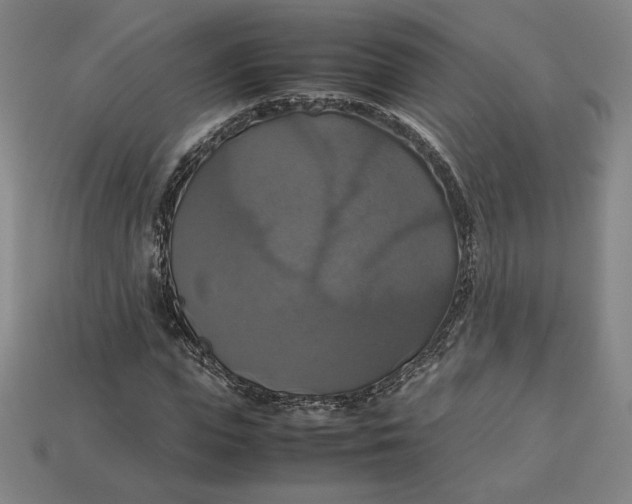 X0000113110823200909181626