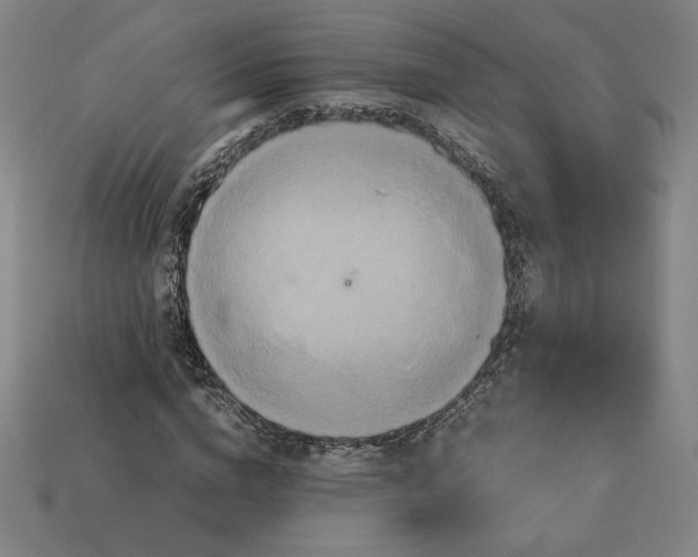 X0000113110824200909181626