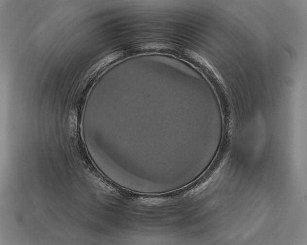 X0000113110825200909181626