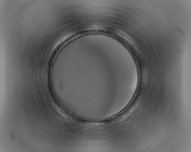 X0000113110826200909181626