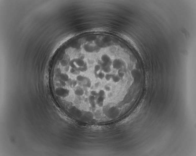 X0000113110827200909181626