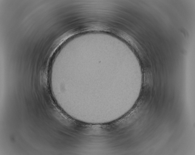X0000113110828200909181626