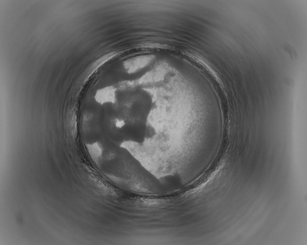 X0000113110829200909181626