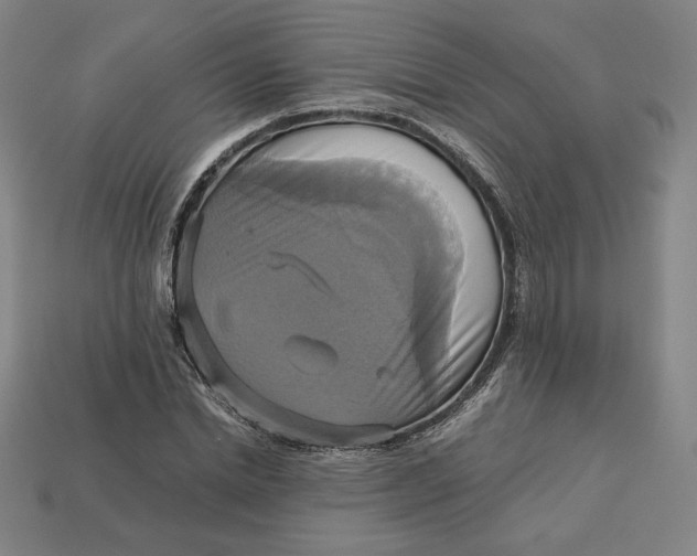 X0000113110830200909181626
