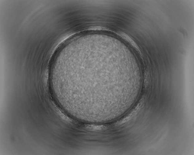X0000113110831200909181626
