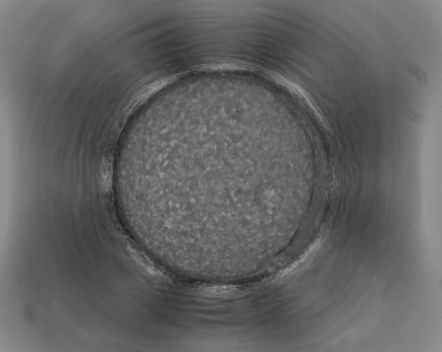 X0000113110833200909181626