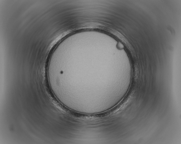 X0000113110834200909181626