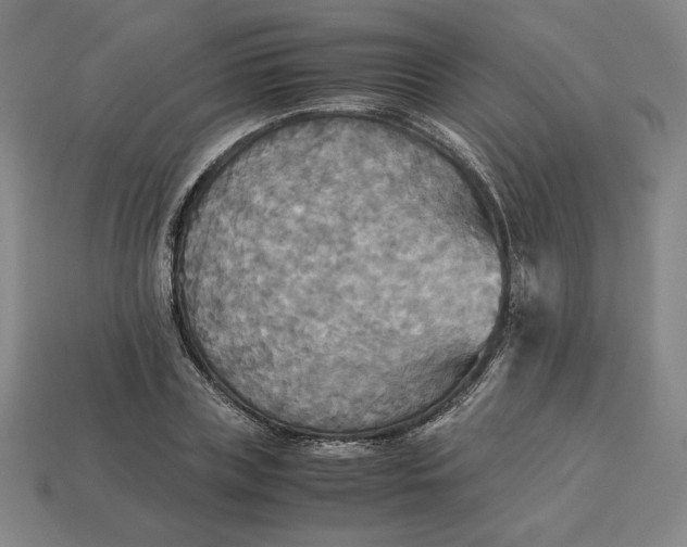 X0000113110835200909181626
