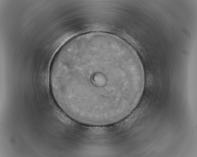 X0000113110836200909181626