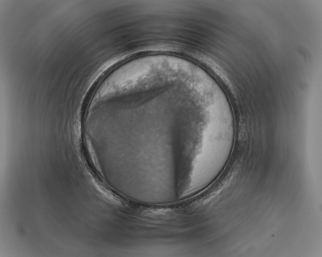 X0000113110837200909181626