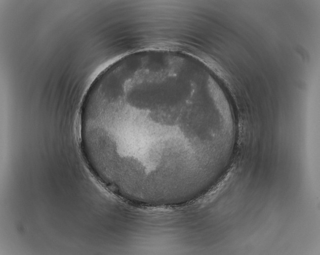 X0000113110838200909181626