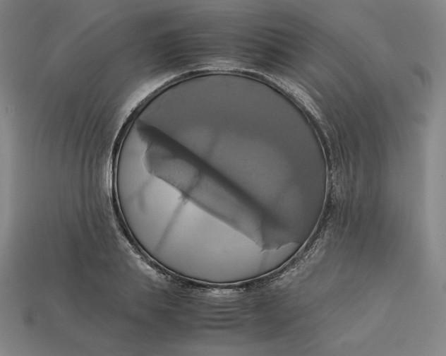 X0000113110839200909181626