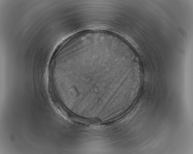 X0000113110840200909181626