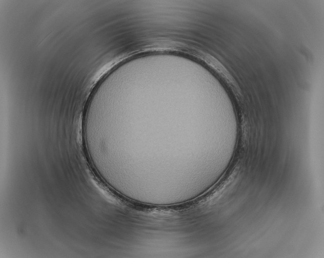 X0000113110842200909181626