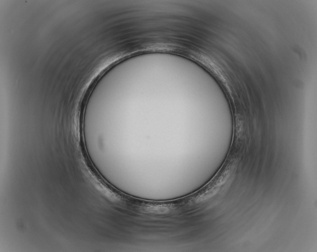 X0000113110843200909181626