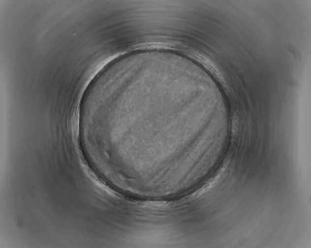 X0000113110844200909181626