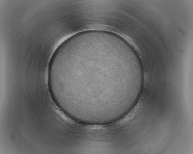 X0000113110846200909181627