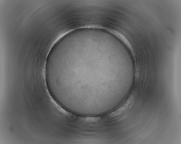 X0000113110847200909181627