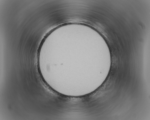 X0000113110848200909181627