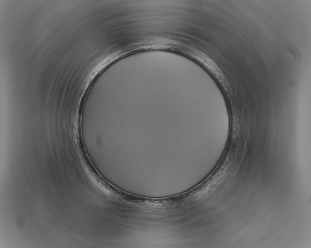 X0000113110850200909181627