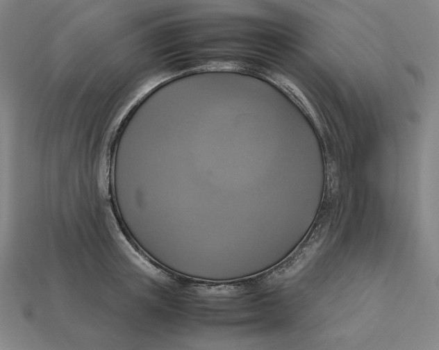X0000113110851200909181627