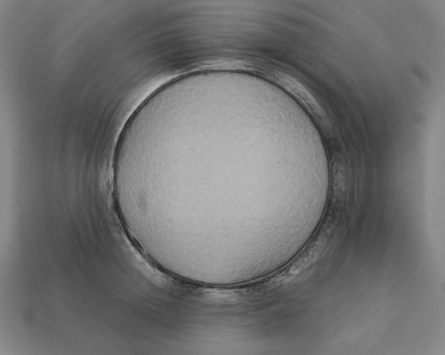 X0000113110852200909181627