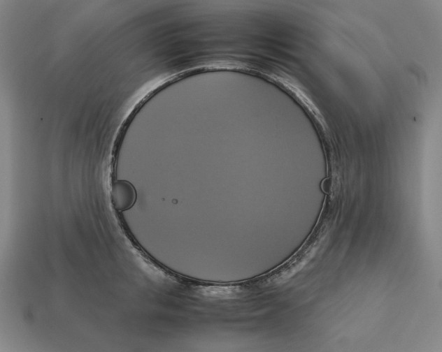 X0000113110853200909181627