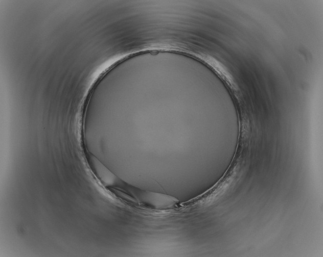 X0000113110854200909181627