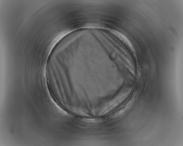 X0000113110855200909181627
