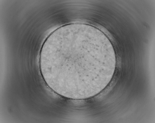 X0000113110856200909181627