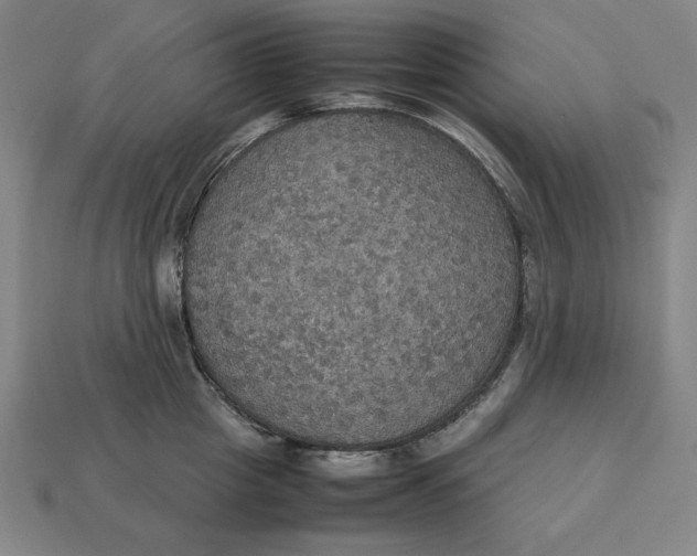 X0000113110857200909181627