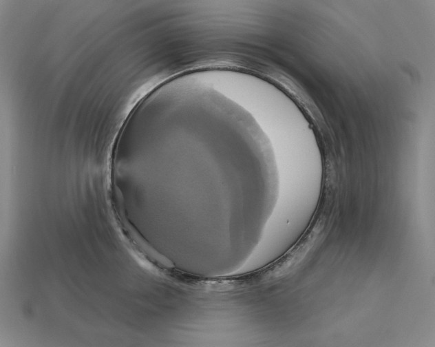 X0000113110858200909181627