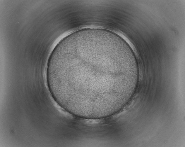 X0000113110861200909181627