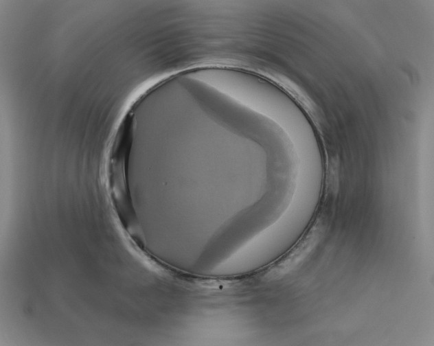 X0000113110862200909181627