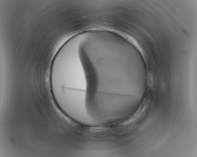 X0000113110863200909181627