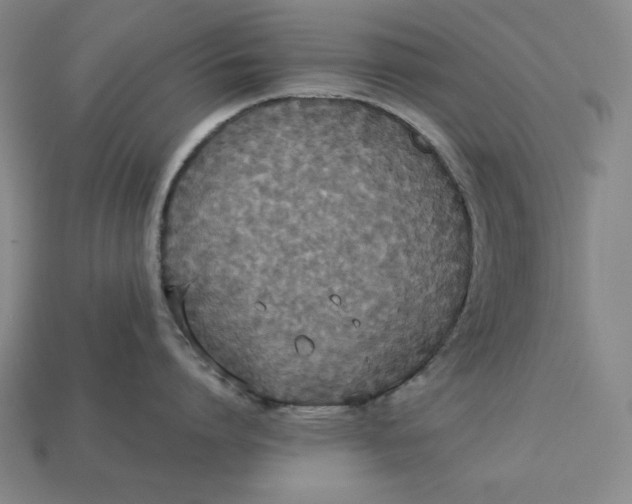 X0000113110864200909181627