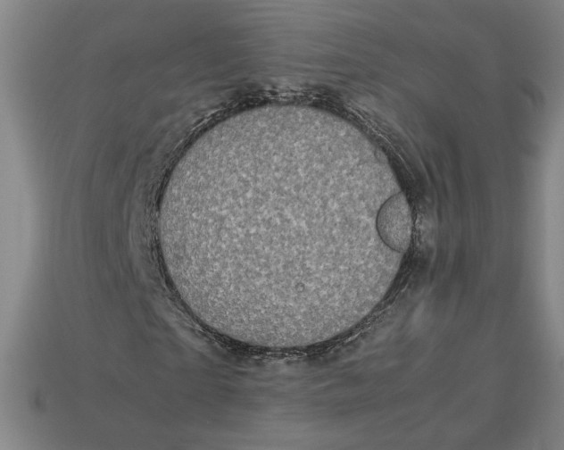 X0000113110865200909181626