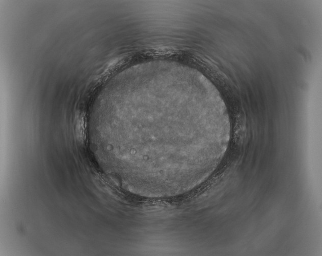 X0000113110866200909181626