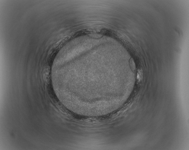 X0000113110867200909181626