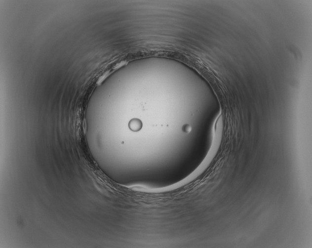 X0000113110868200909181626