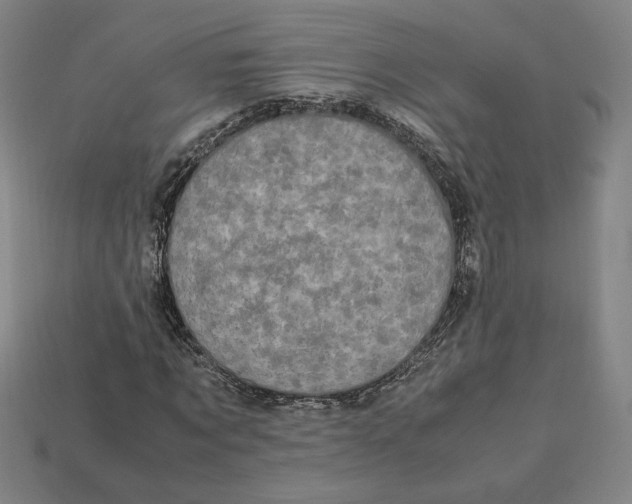 X0000113110869200909181626