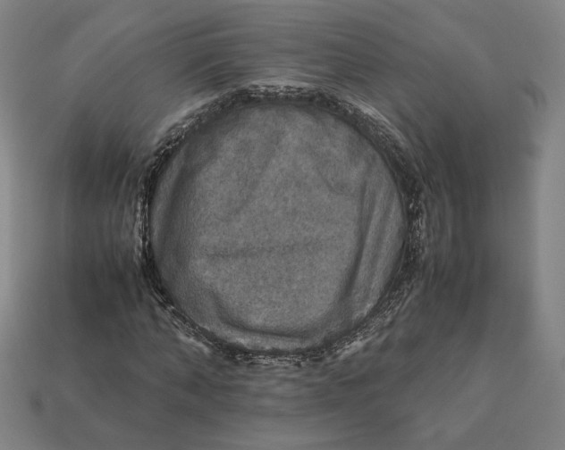 X0000113110870200909181626