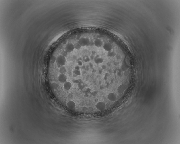 X0000113110871200909181626