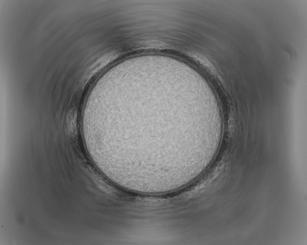 X0000113110873200909181626