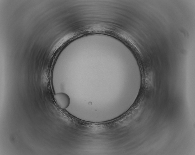 X0000113110874200909181626