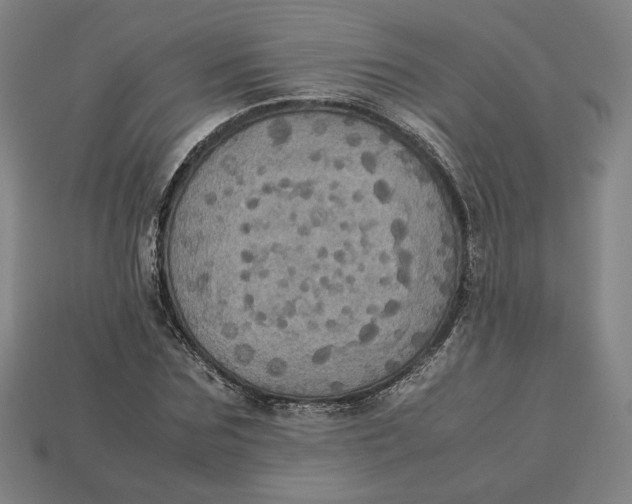 X0000113110875200909181626