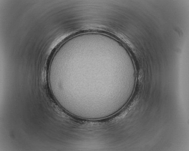 X0000113110877200909181626
