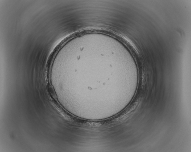 X0000113110878200909181626