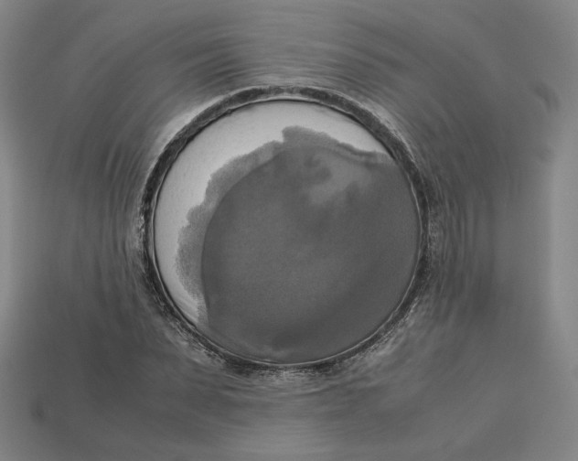 X0000113110879200909181626